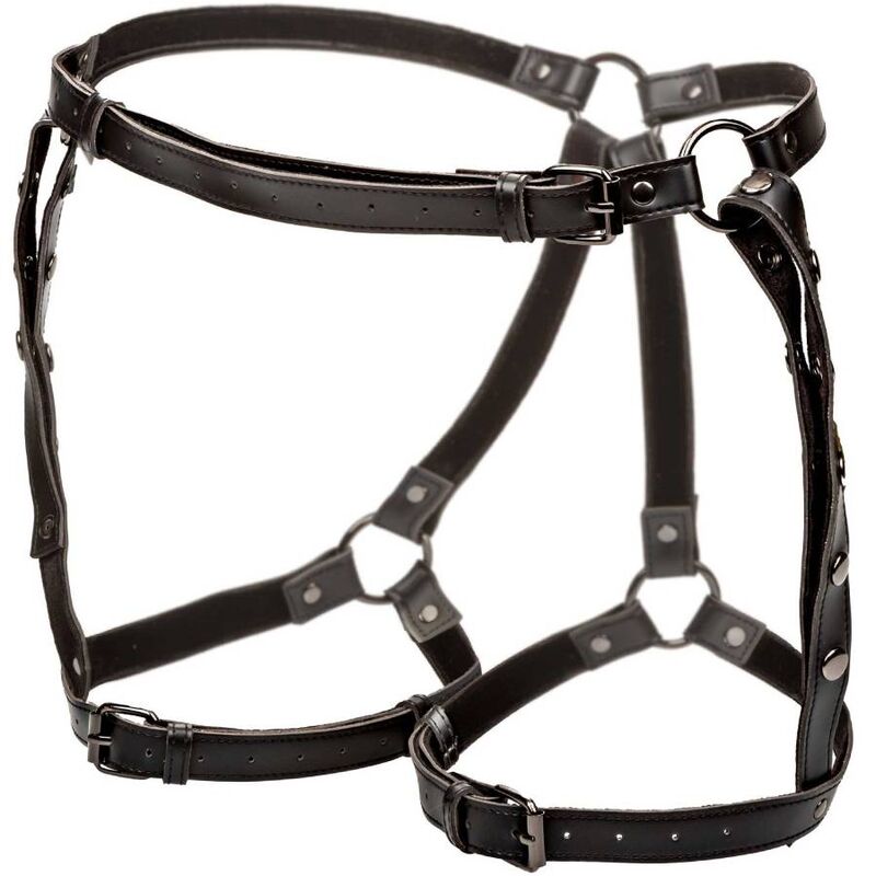 Harnais de cuisse d'équitation multi-sangles taille plus — CALEXOTICS