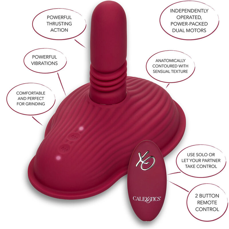 Masseur double moteur rider télécommandé — CALEXOTICS