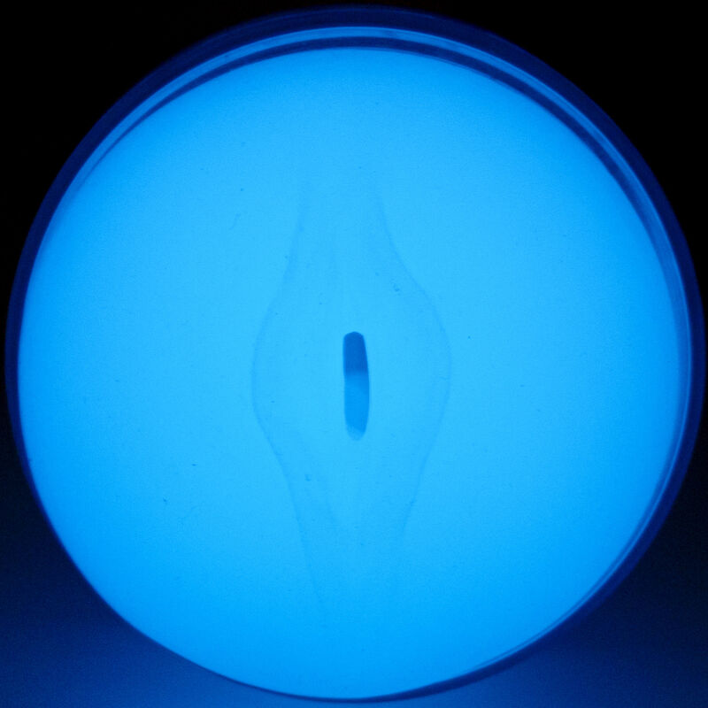 Caresseur phosphorescent FeelGlow — KIIROO