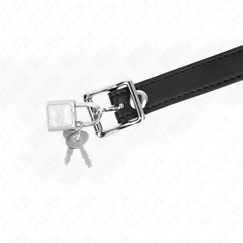 Gag boule silicone avec serrure et pochette — KINK COLLAR & GAG