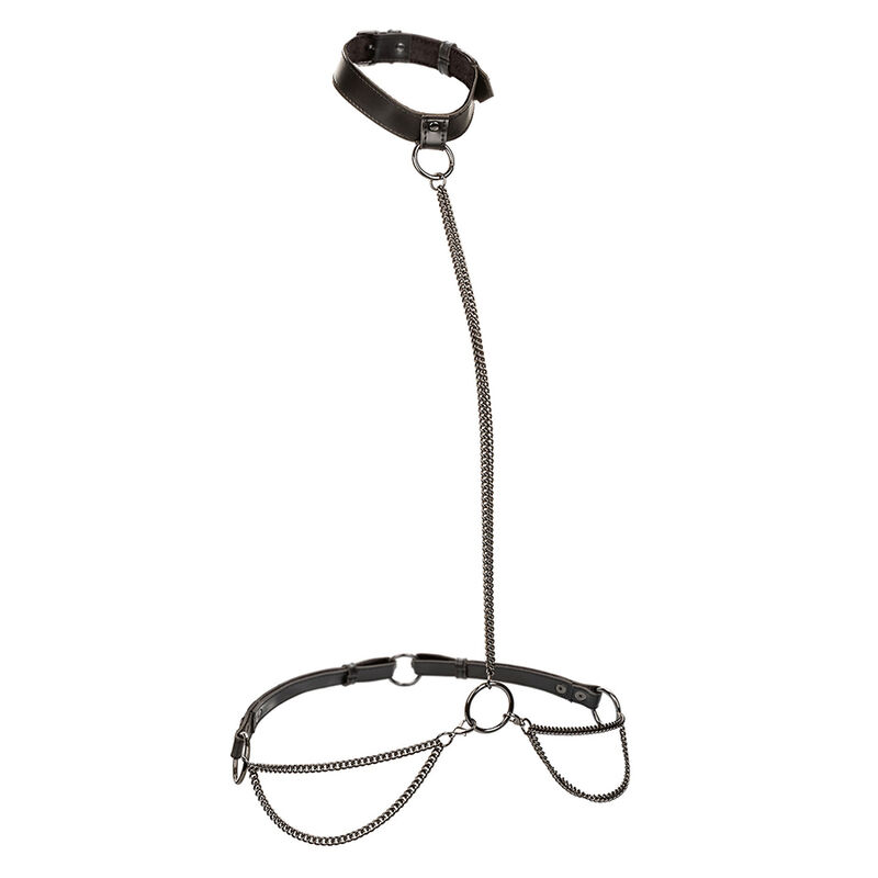 Collier et laisse chaîne euphoria — CALEXOTICS