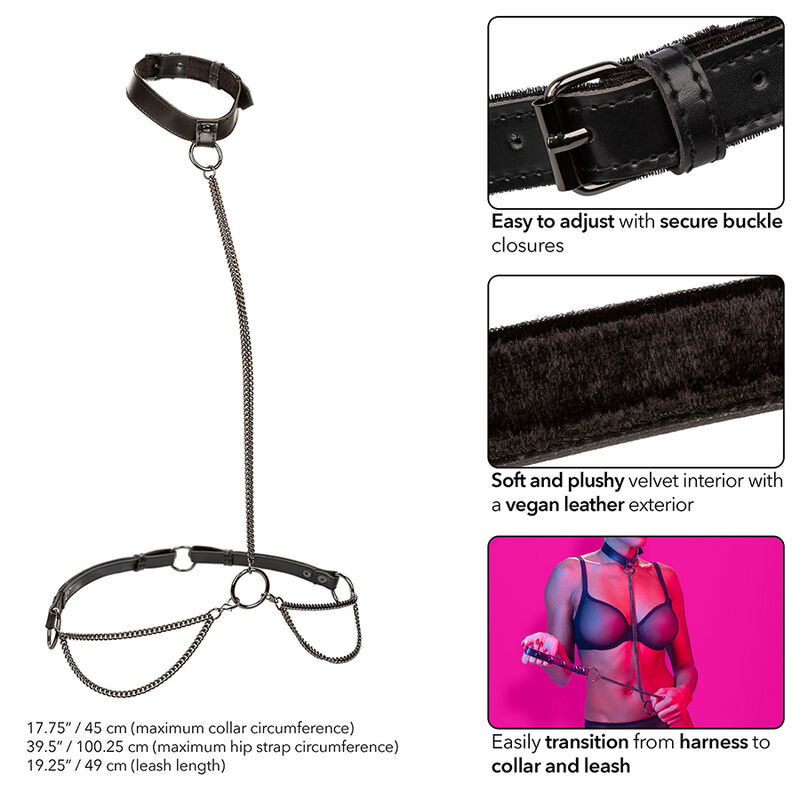 Collier et laisse chaîne euphoria — CALEXOTICS