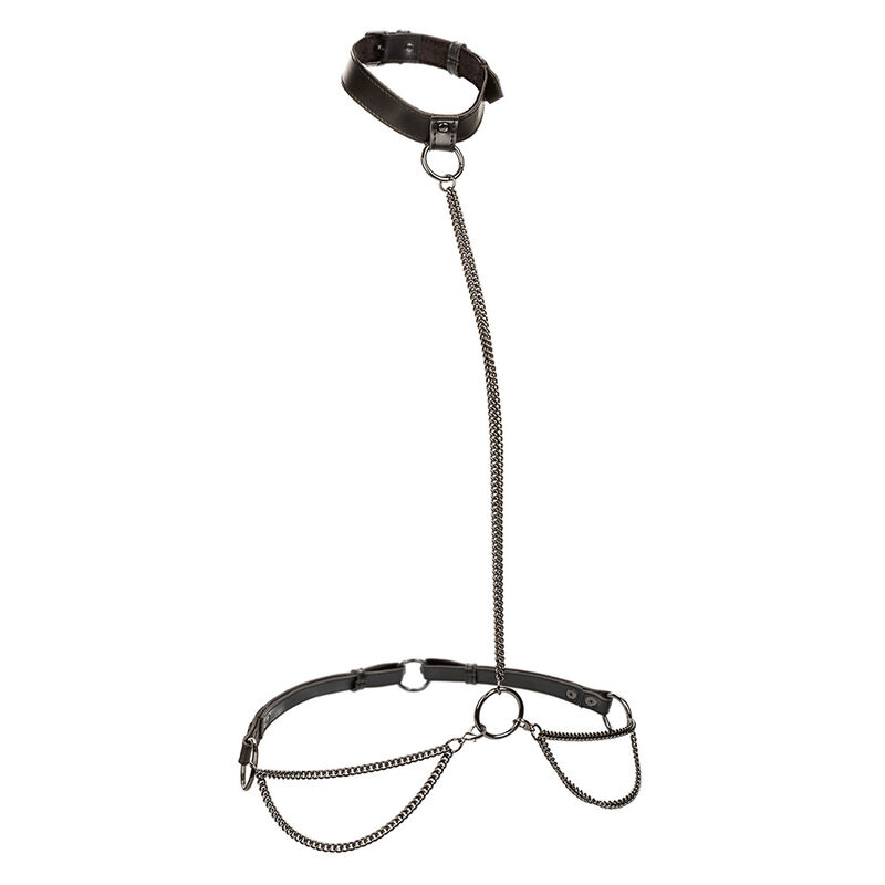 Collier et laisse en chaîne grande taille — CALEXOTICS