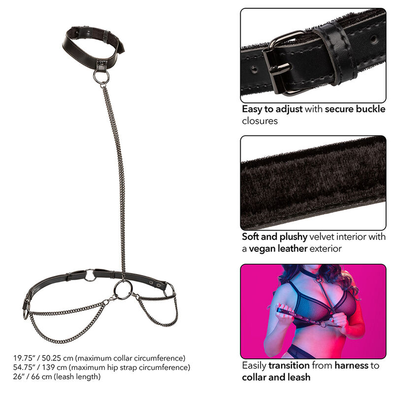 Collier et laisse en chaîne grande taille — CALEXOTICS