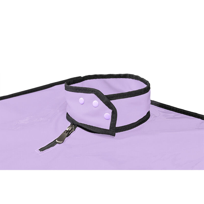 Cabine intime violette — SECRET DOME