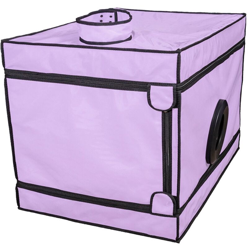 Cabine intime violette — SECRET DOME