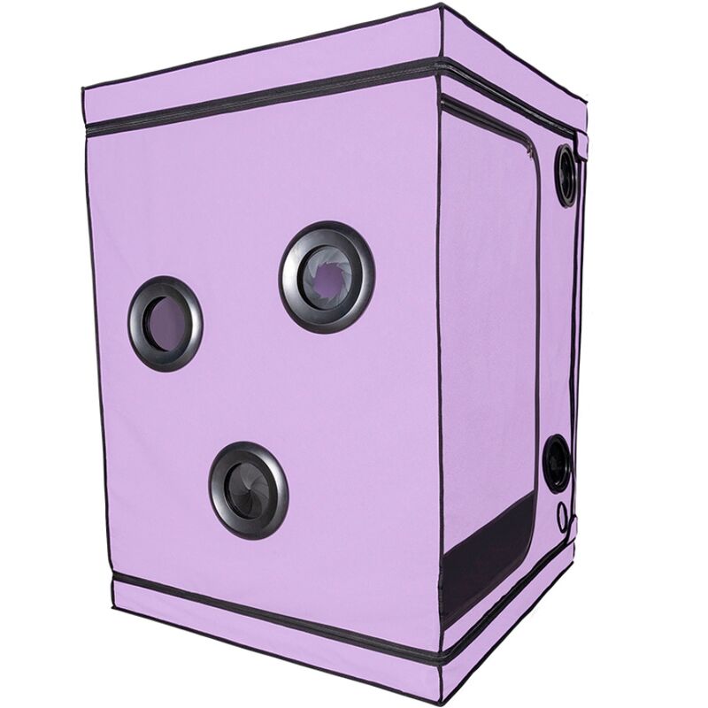 Cabine de soumission immersive scandale purple — SECRET DOME