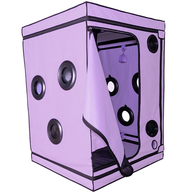 Cabine de soumission immersive scandale purple — SECRET DOME