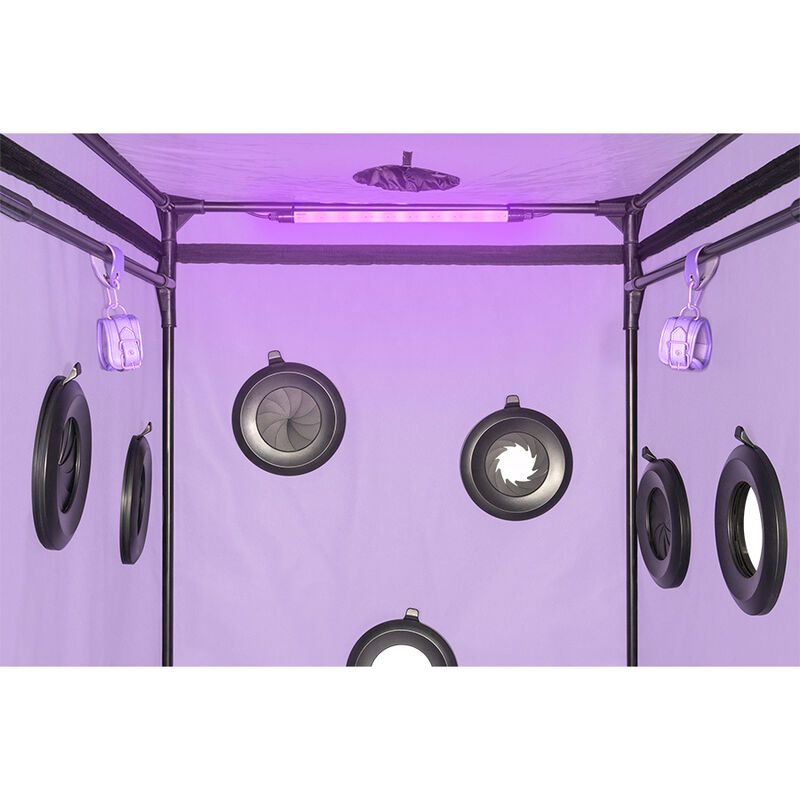 Cabine de soumission immersive scandale purple — SECRET DOME