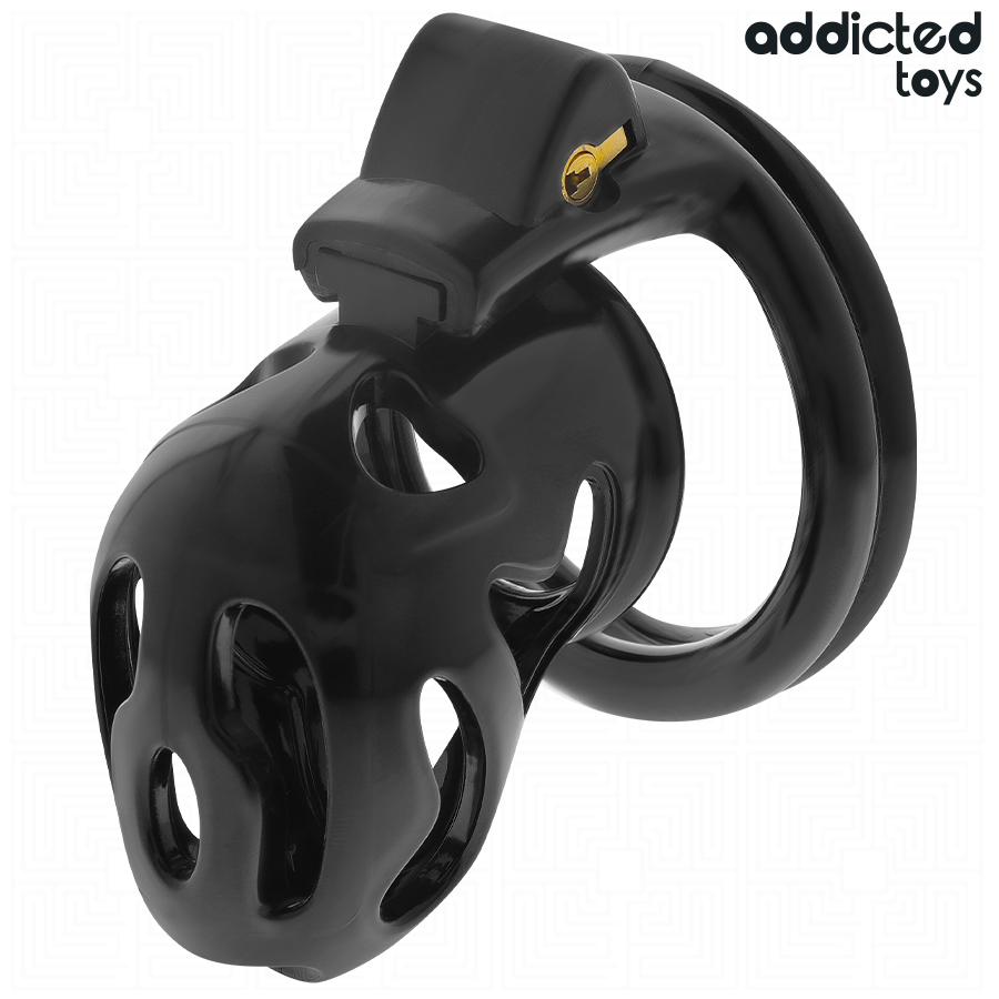 Cage de chasteté verrouillée et scellée pour pénis — ADDICTED TOYS LOCKED