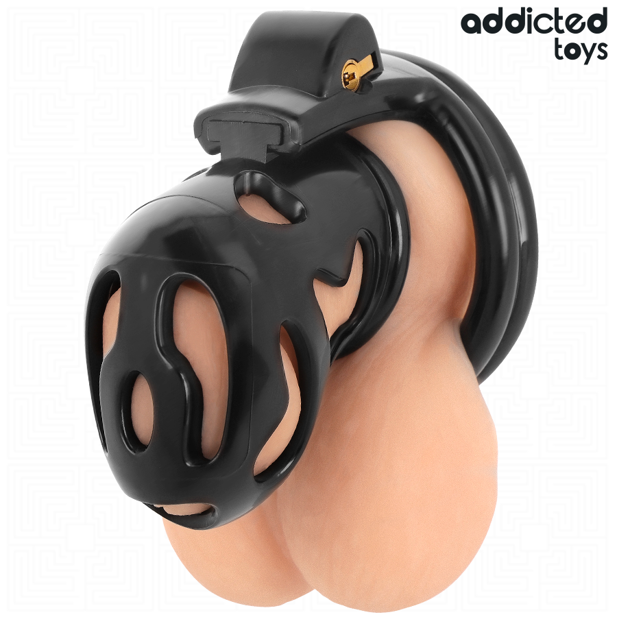 Cage de chasteté verrouillée et scellée pour pénis — ADDICTED TOYS LOCKED