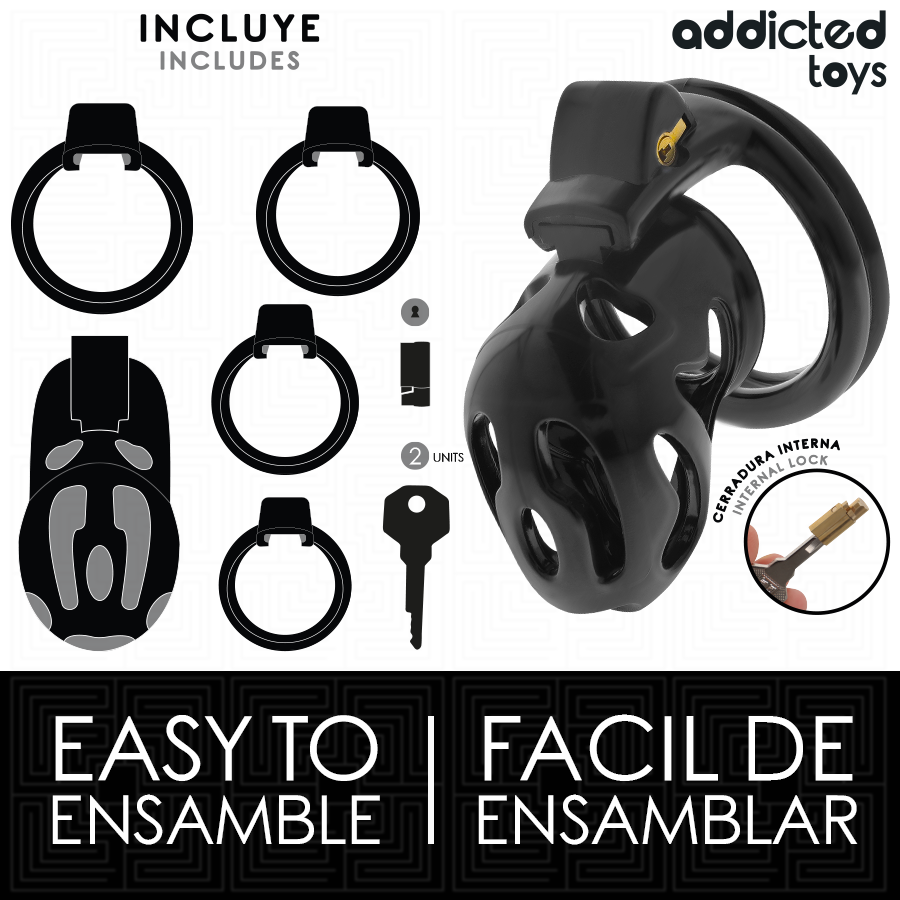 Cage de chasteté verrouillée et scellée pour pénis — ADDICTED TOYS LOCKED