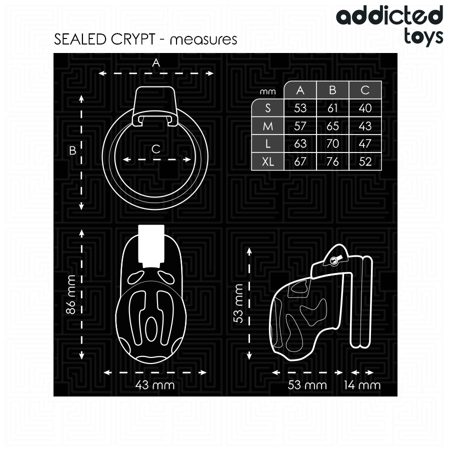 Cage de chasteté verrouillée et scellée pour pénis — ADDICTED TOYS LOCKED