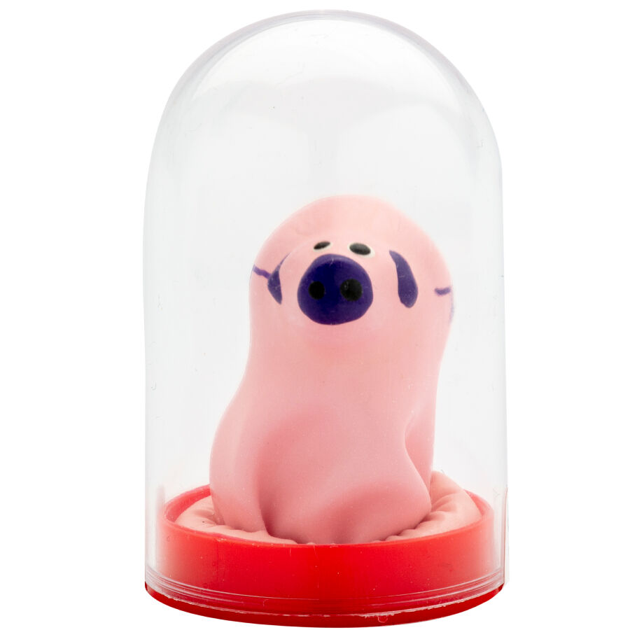 Préservatif fantaisie peint à la main Petit Cochon — Condomerie