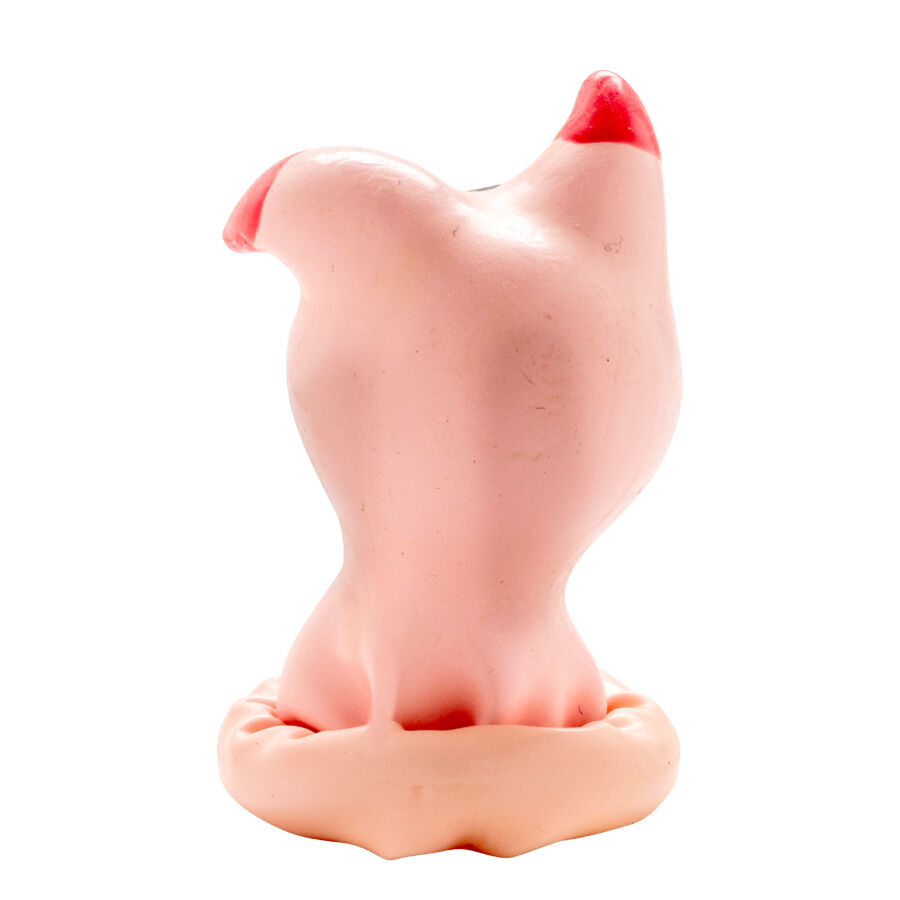Preservativo decorativo pintado a mano con cabeza de cerdo — CONDOMERIE