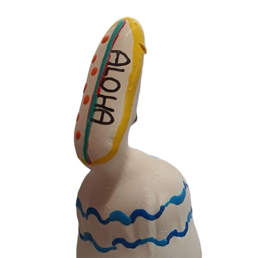 Préservatif fantaisie peint à la main motif planche de surf — CONDOMERIE