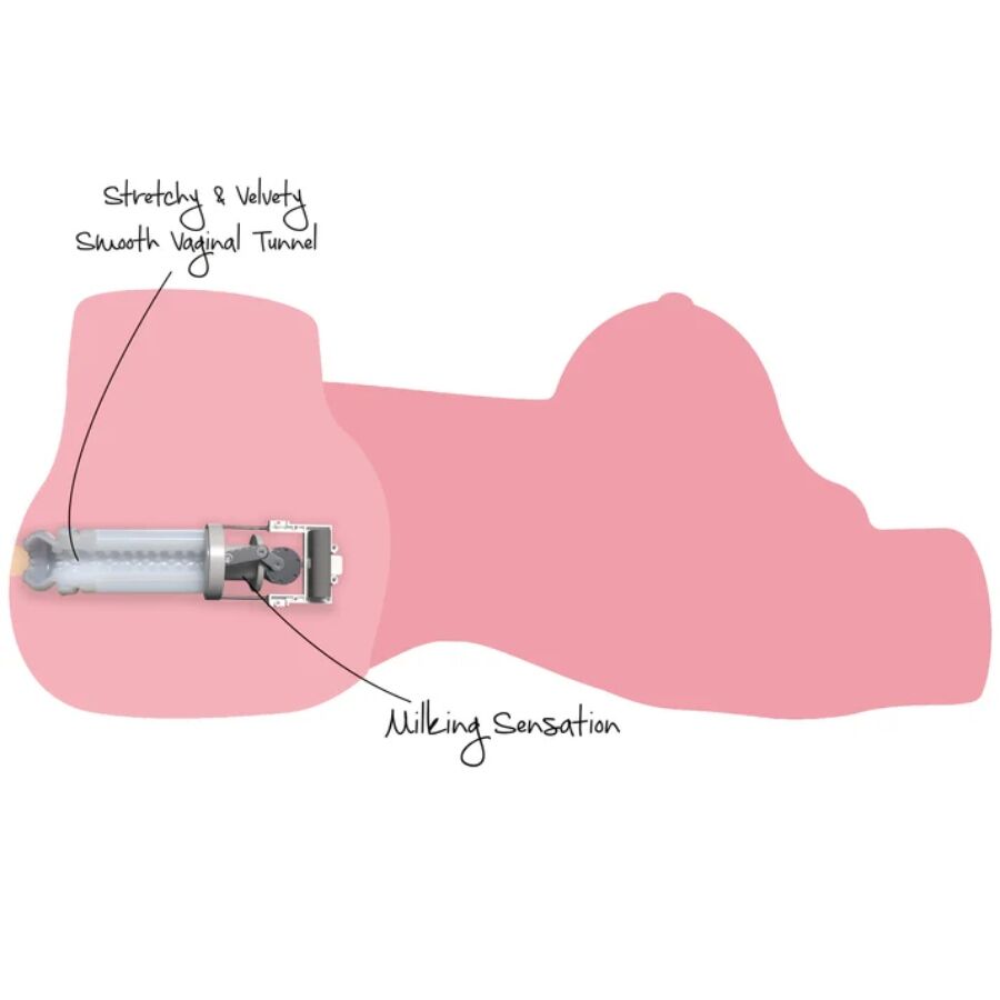 Ultra-Realistic Female Masturbation Torso with Suction Feature — HIDDEN DESIRE