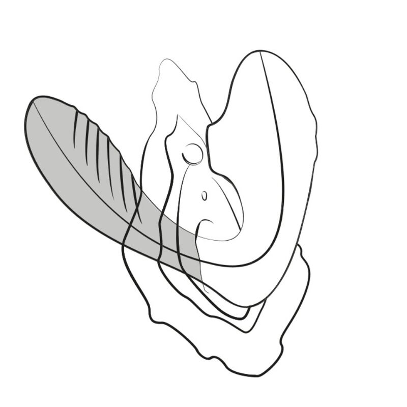 Stimulateur duo point G et clitoris rechargeable — ROMP