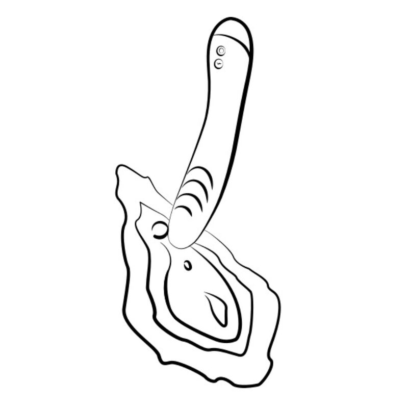 Vibrateur multifonctions pour point G — ROMP