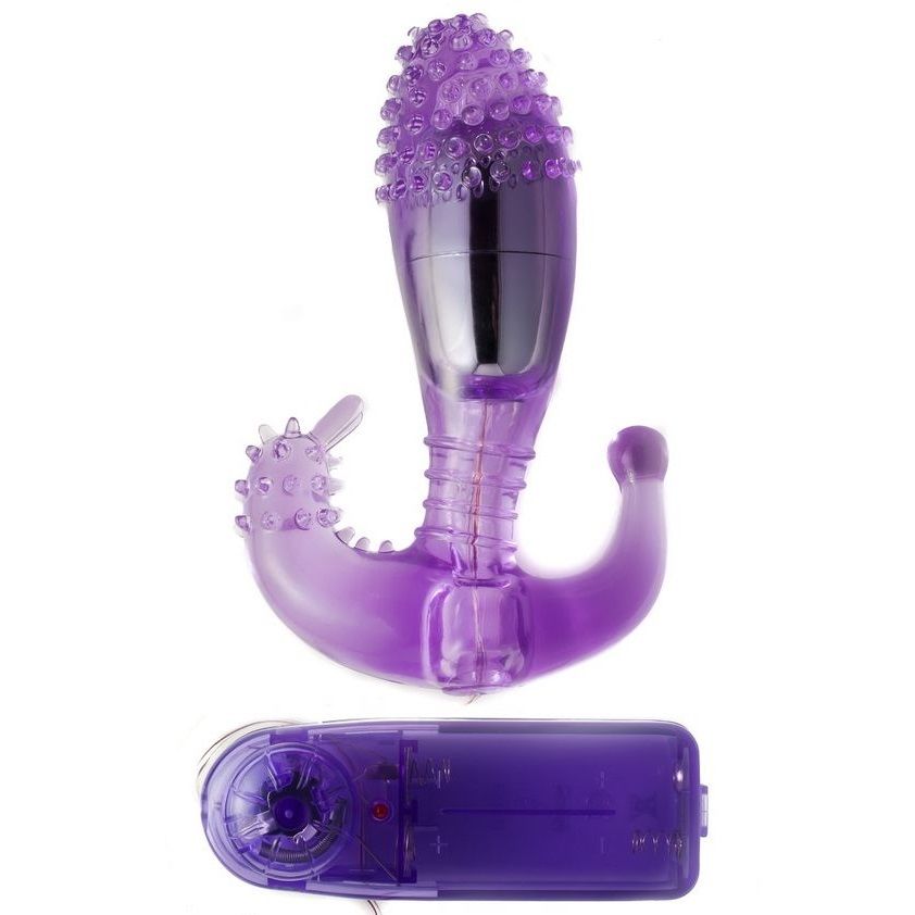 Stimulateur double vagin-anal vibrant lilas — BAILE